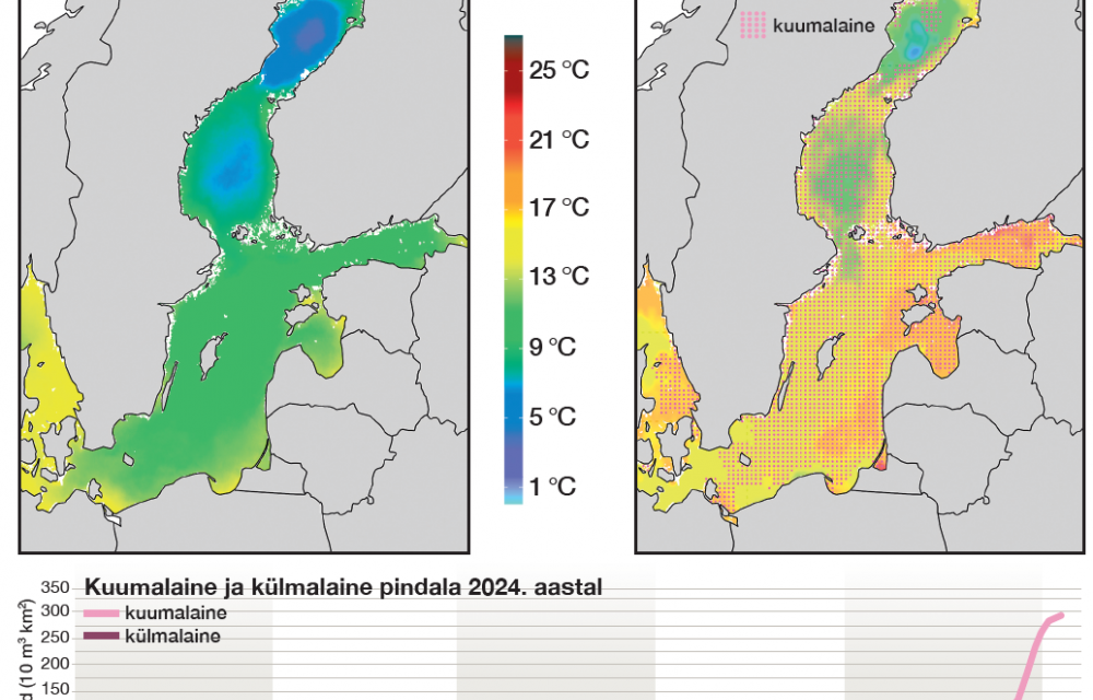 Läänemere temperatuur külmalaineta