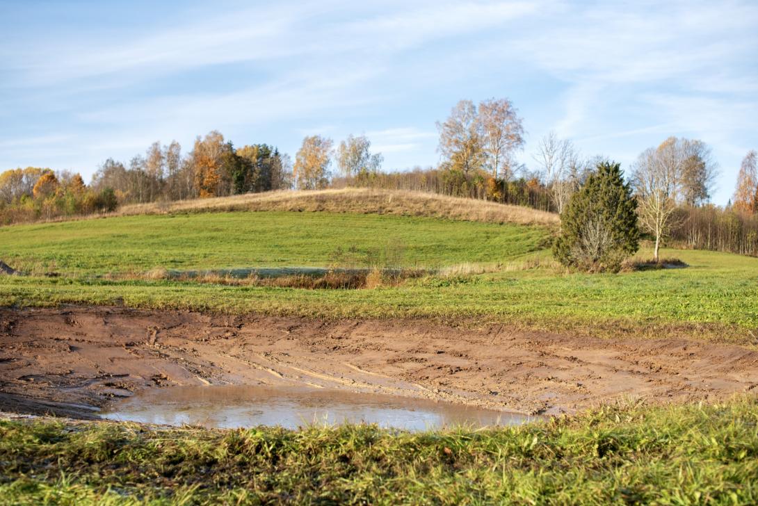 taastatud väikeveekogu, puud, taevas