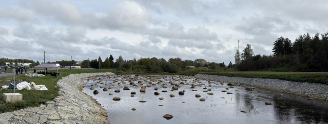 looduspilt - vesi, puud, taevas