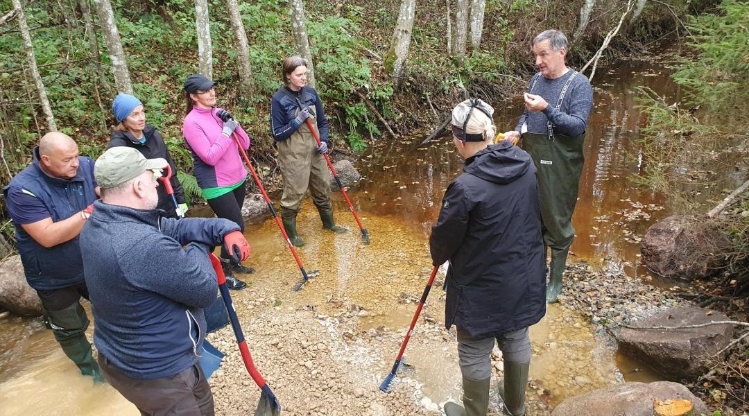 inimesed talgutöid tegemas