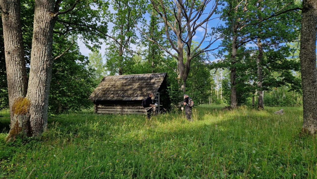 puud, heinaküün, põld